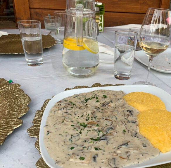 8 Unique Restaurants in Tampa (Ultimate Foodie Spots) Global Viewpoint