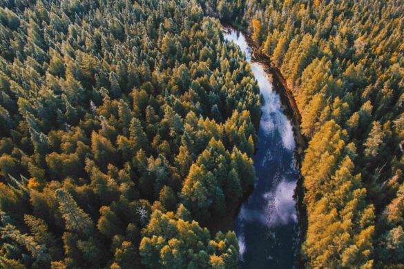 12 Must-See Hidden Gems in Michigan You Can’t Miss