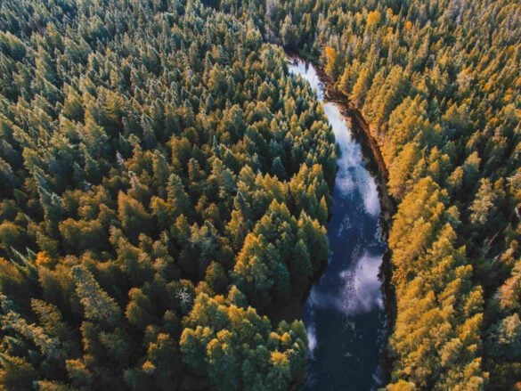 Hidden Gems in Michigan