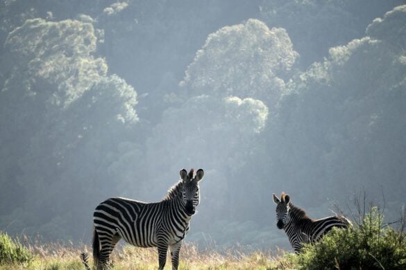 Most Beautiful Places in Malawi