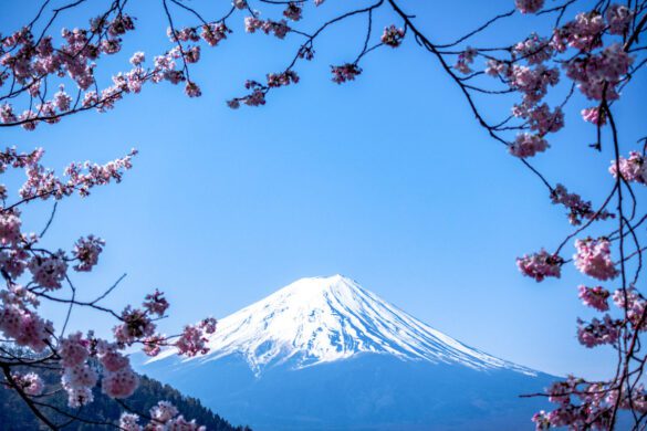 12 Picture-Perfect Spots in Tokyo That Feel Like a Dream