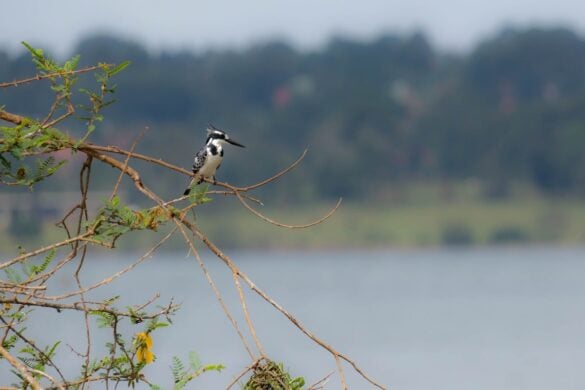 Most Beautiful Places on Lake Victoria