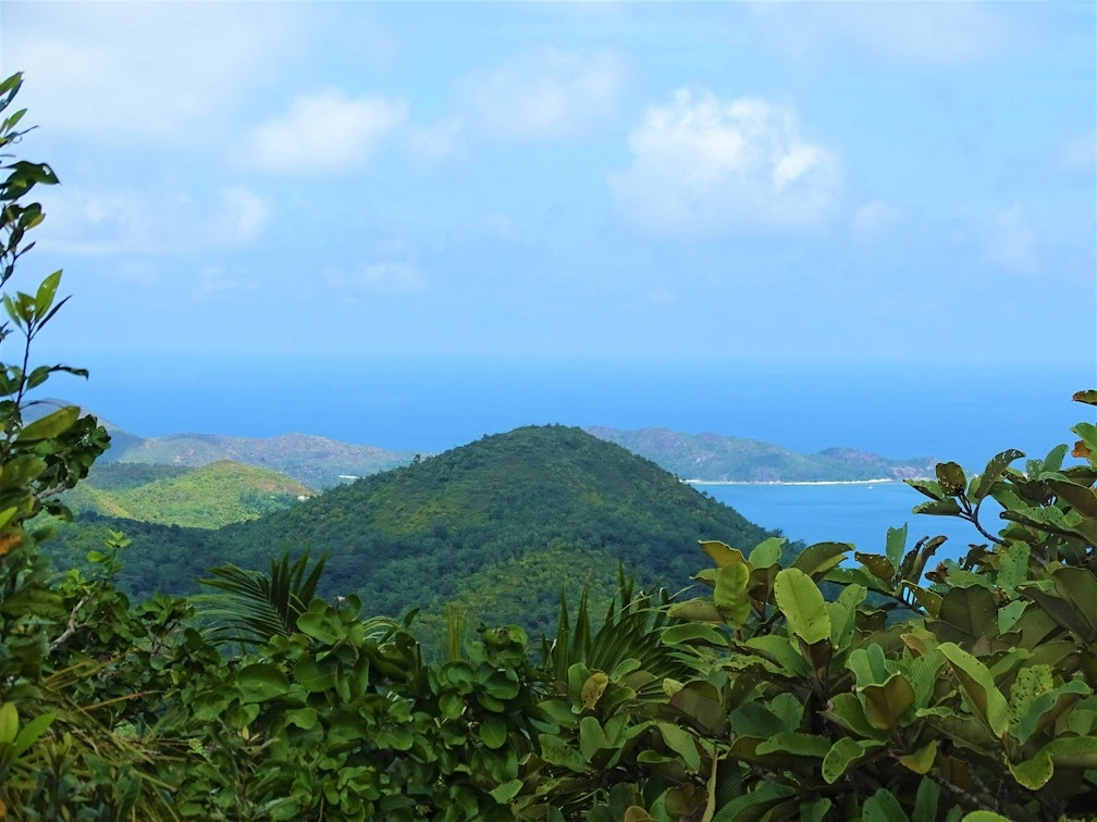 Praslin National Park forest trail with lush tropical vegetation and ocean views in Seychelles