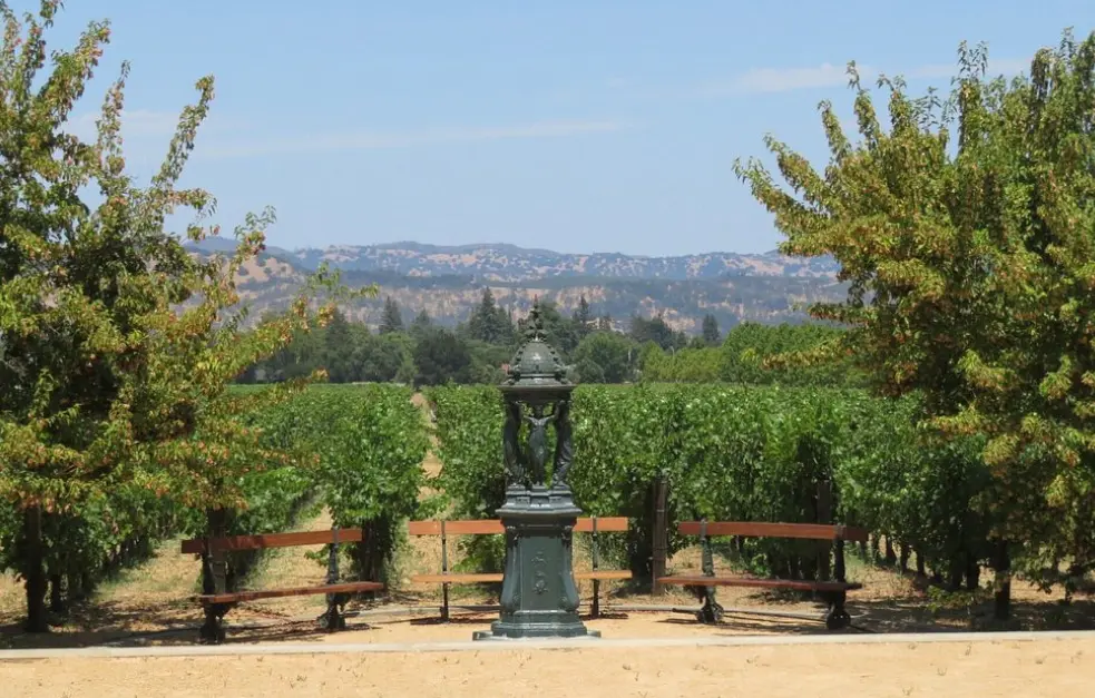 Inglenook Winery