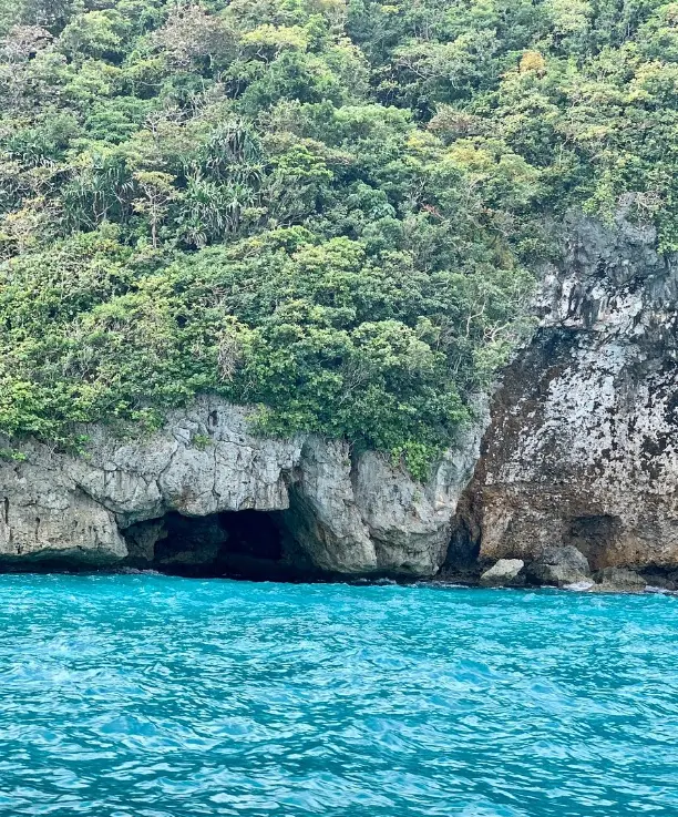 Crocodile Island