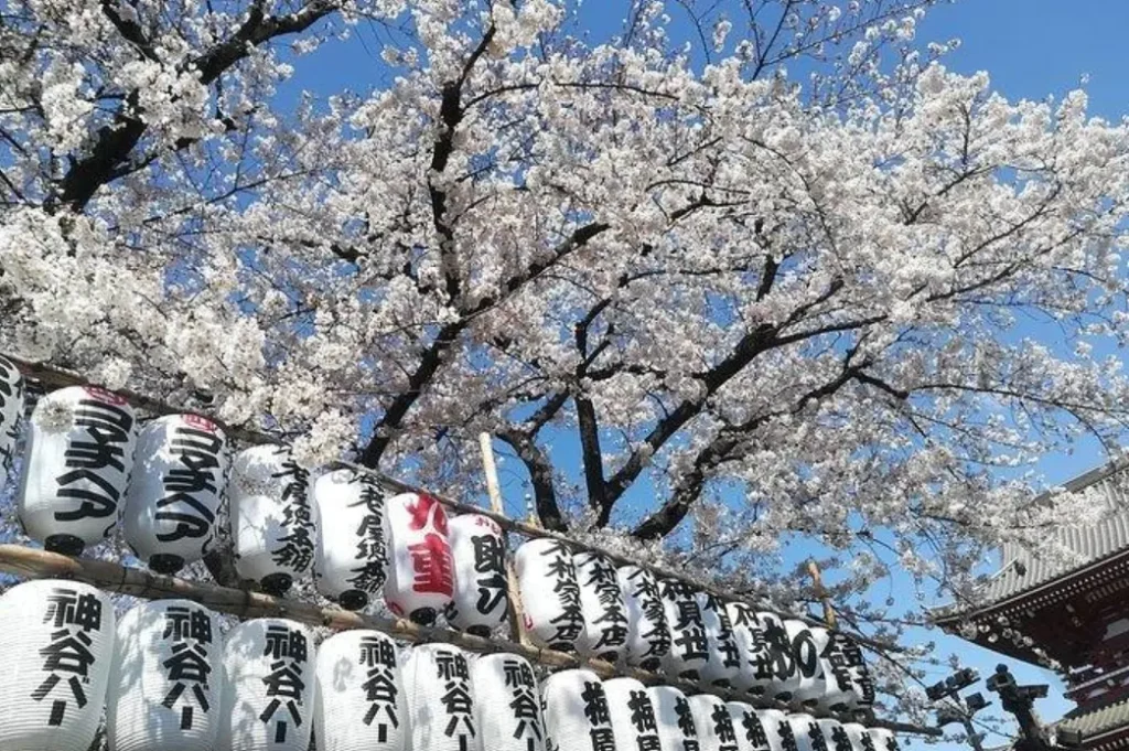 Hamarikyu garden