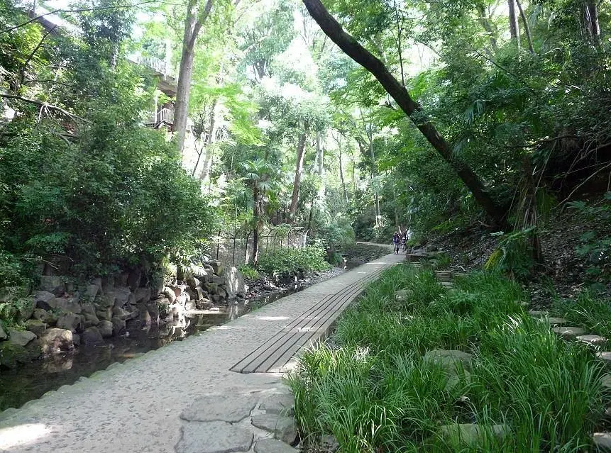 Todoroki Valley