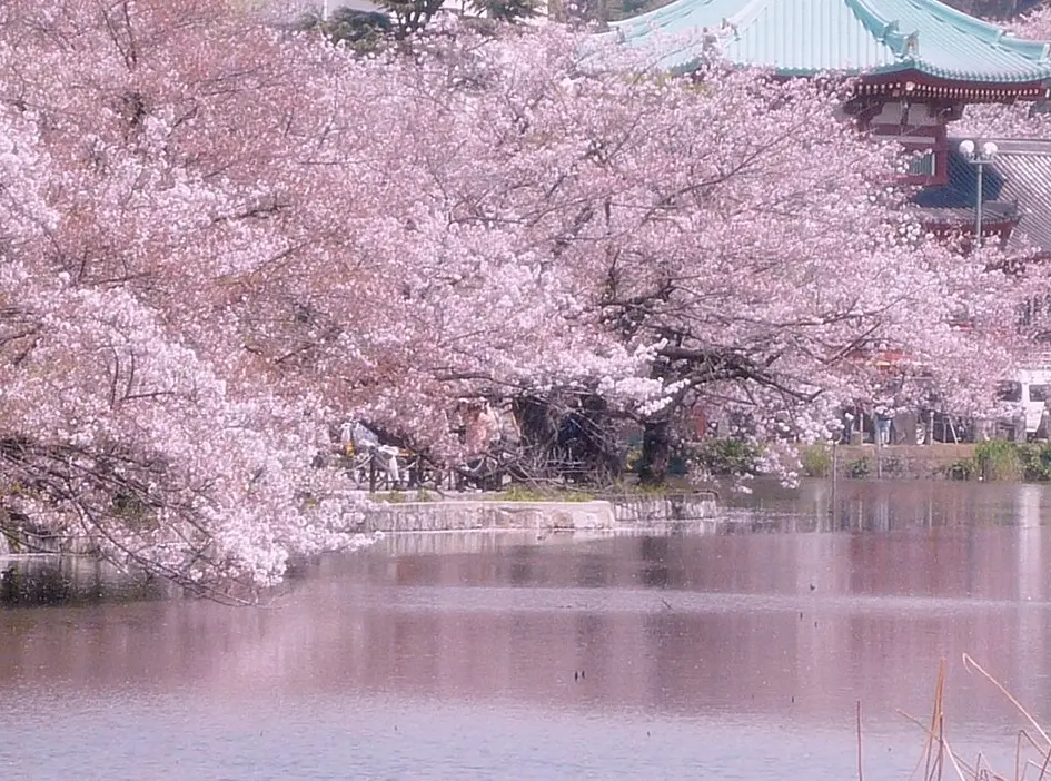 Ueno Park