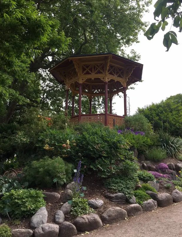 DBW's Botanical Garden