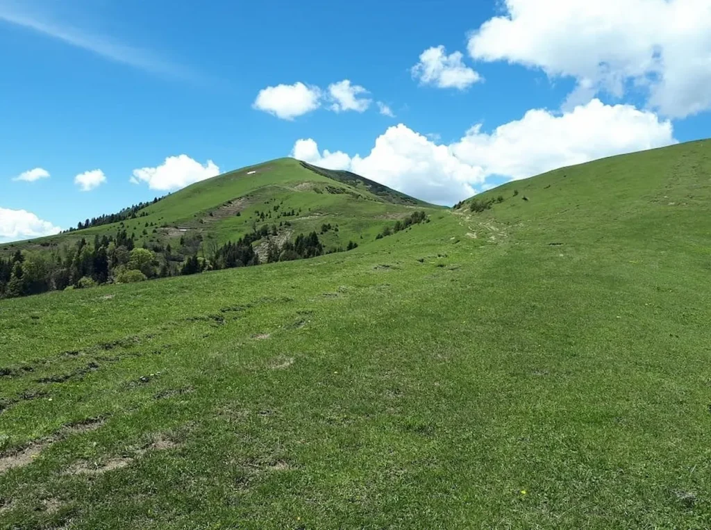 Borjomi-Kharagauli National Park