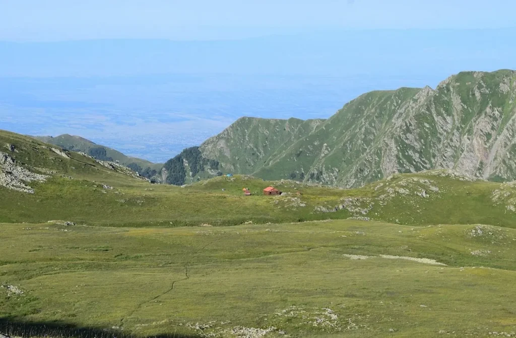 Lagodekhi Protected Areas