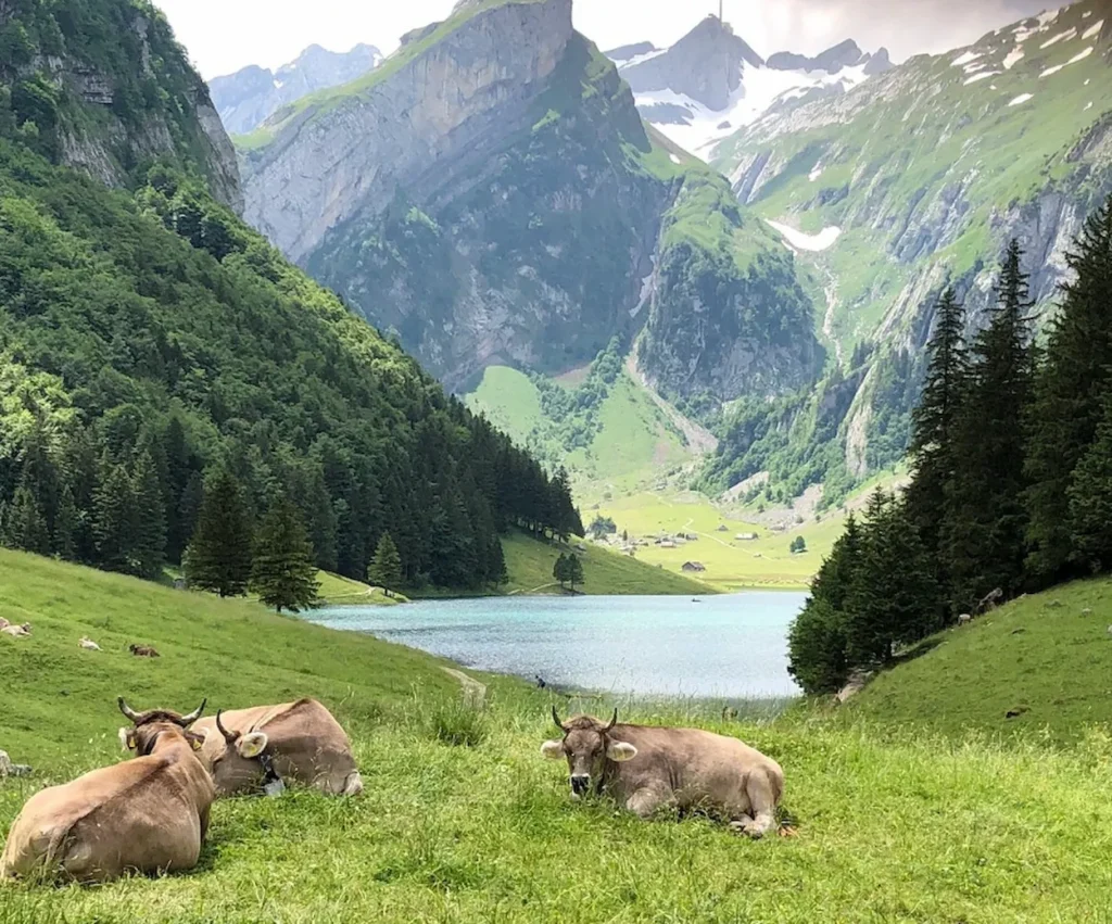 Appenzell scenic view