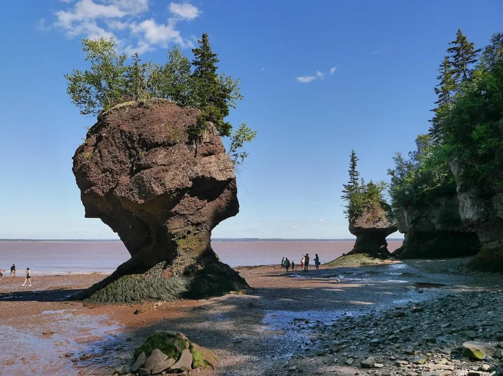 Hopewell Rocks