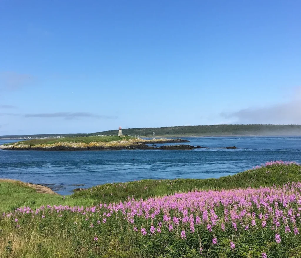 Brier Island