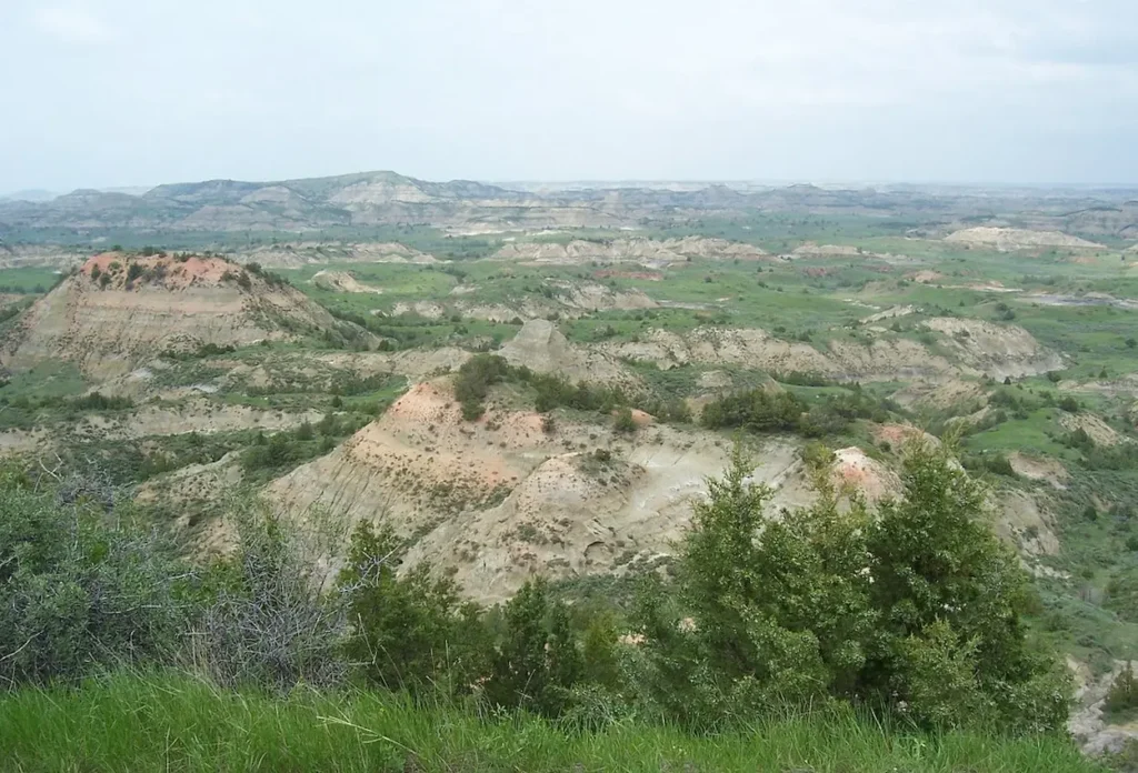 Theodore Roosevelt National Park