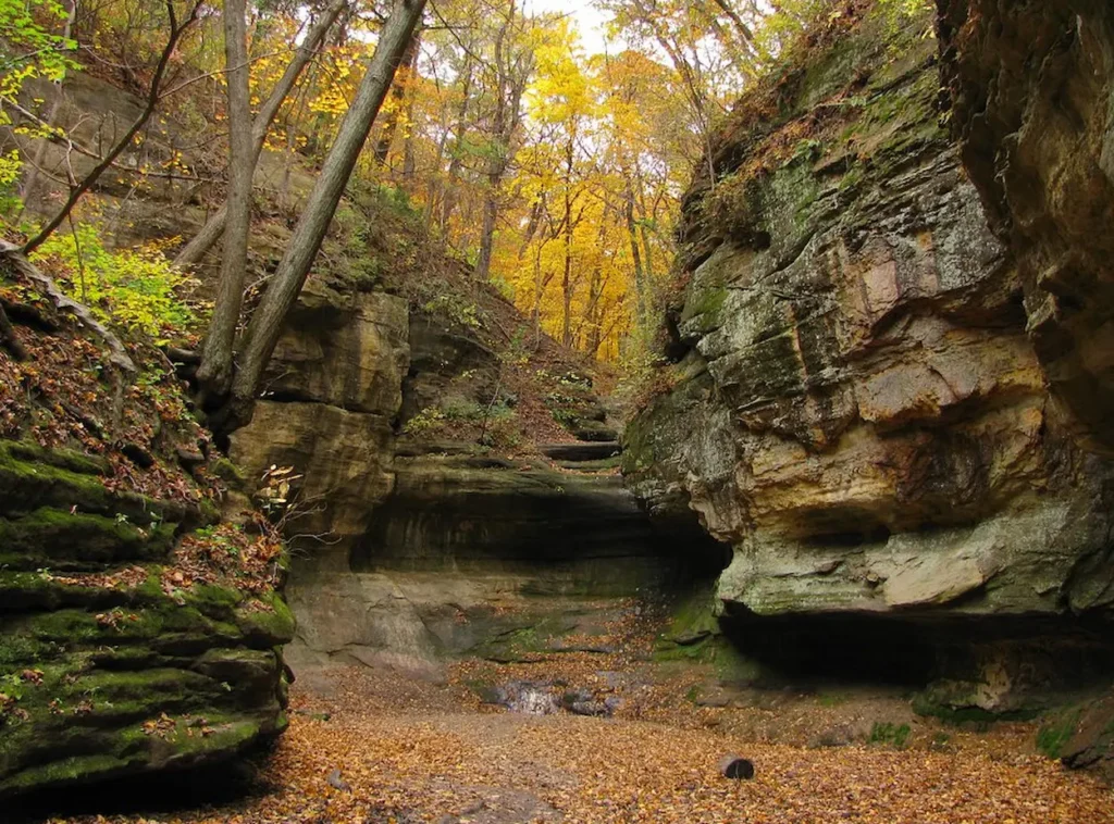 Matthiessen State Park