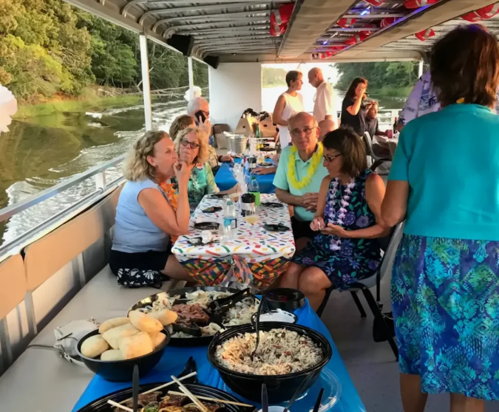Dolphin watching on a boat tour