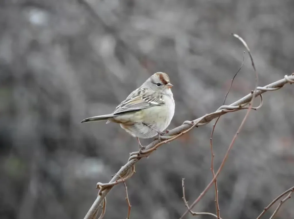 Explore Marginal Way