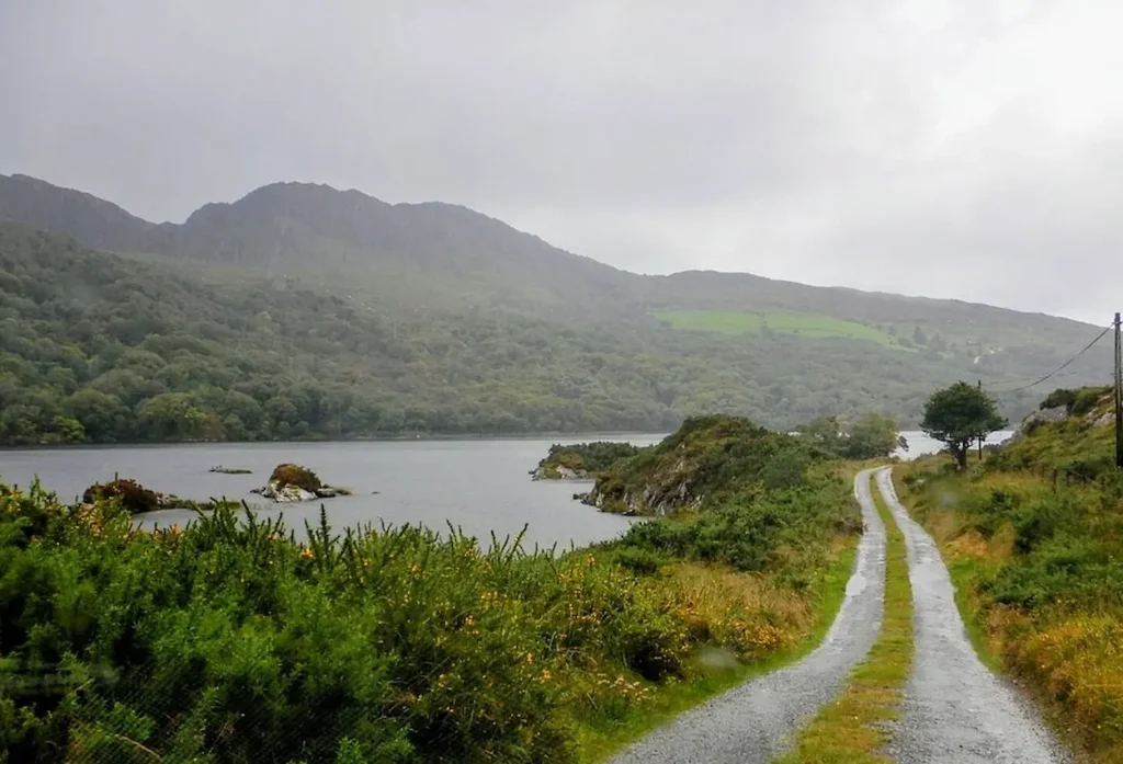 Ring of Beara