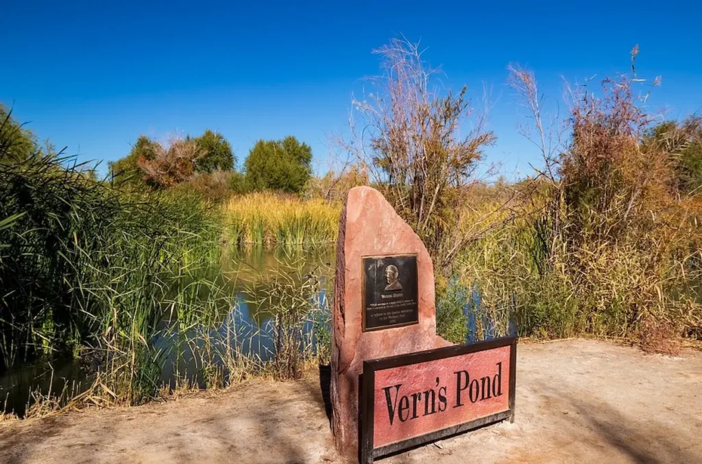 Vern's Pond