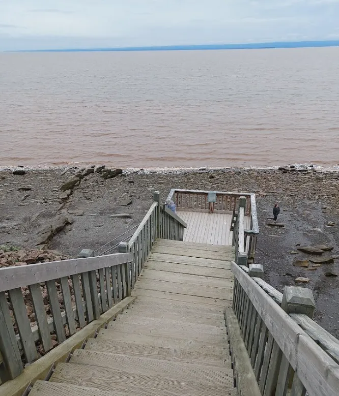 Joggins Fossil Cliffs And Centre
