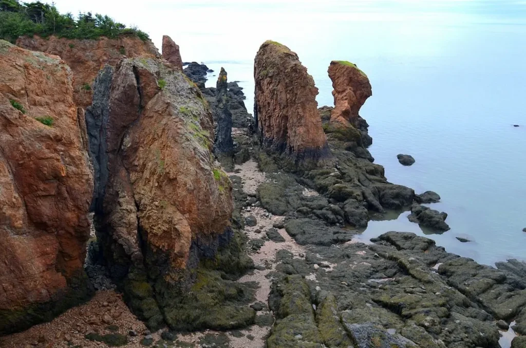 Cape Chignecto Provincial Park