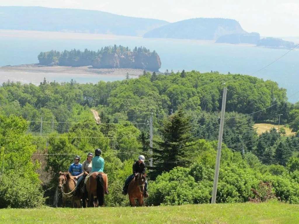 Horse riding Parrsboro