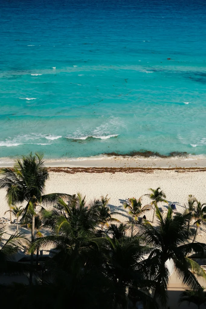 High angle view of a white sand beach lined with green palm trees and bright turquoise ocean water in Cancun Mexico
