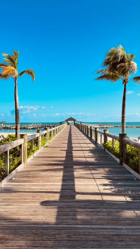 Wooden pier walkway lined with palm trees leading toward a gazebo over turquoise ocean water