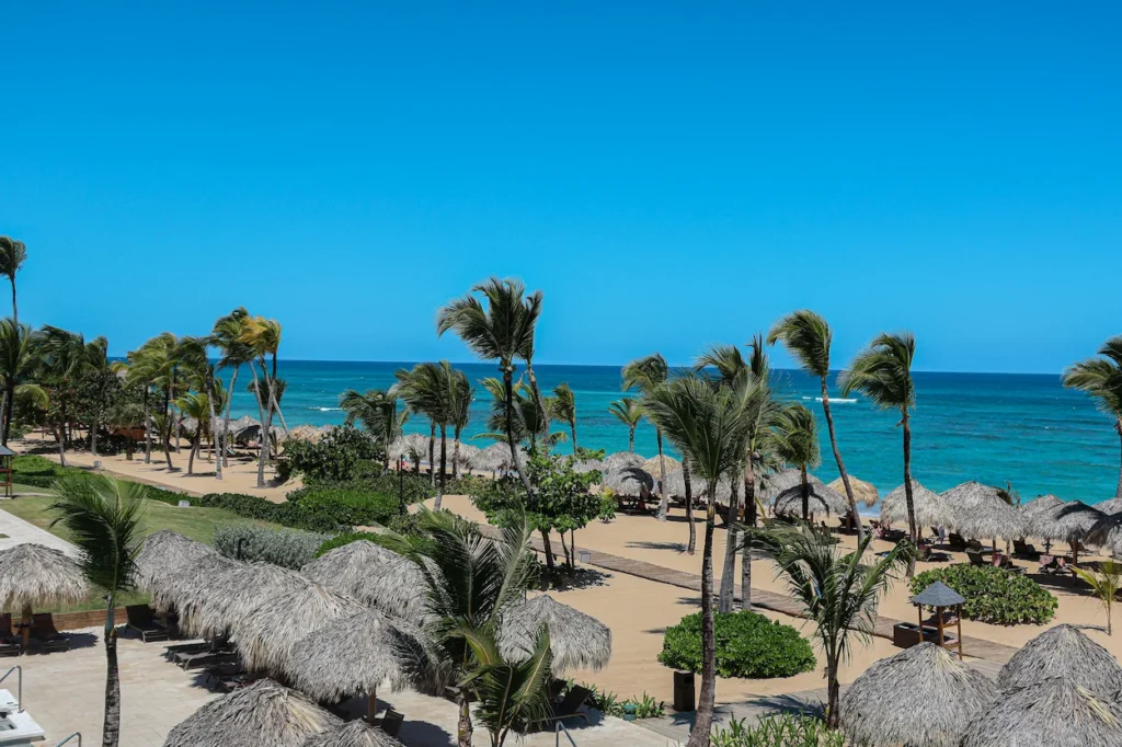Thatch umbrellas and palm trees lining a sandy beachfront resort under clear blue skies