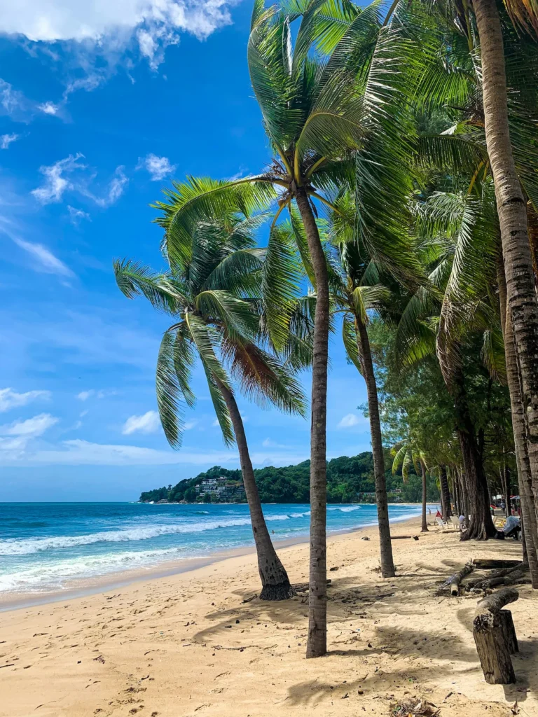 Tall palm trees leaning over the golden sand at Kamala Beach in Phuket, Thailand