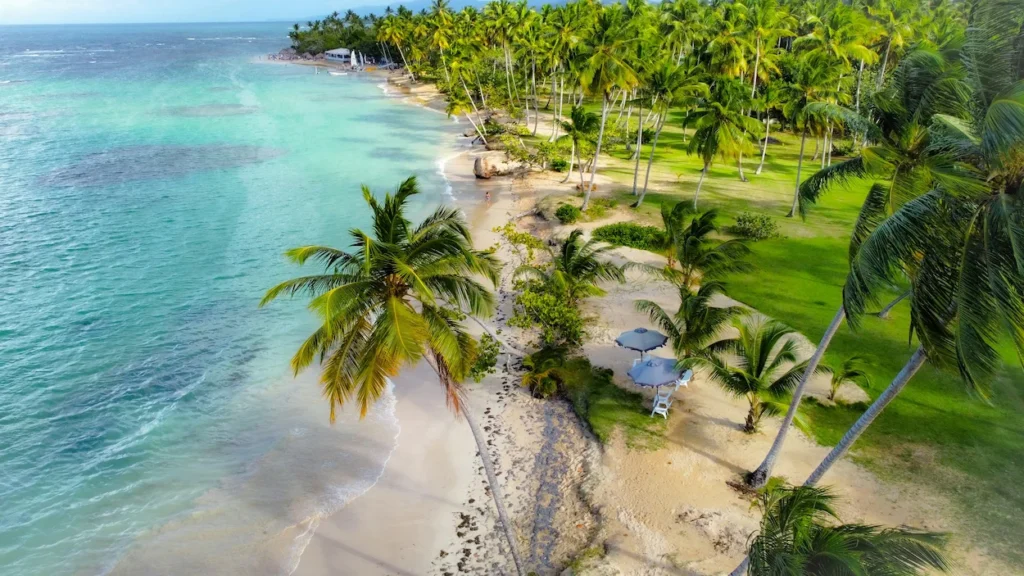 Aerial view of turquoise water and palm trees along Las Galeras beach