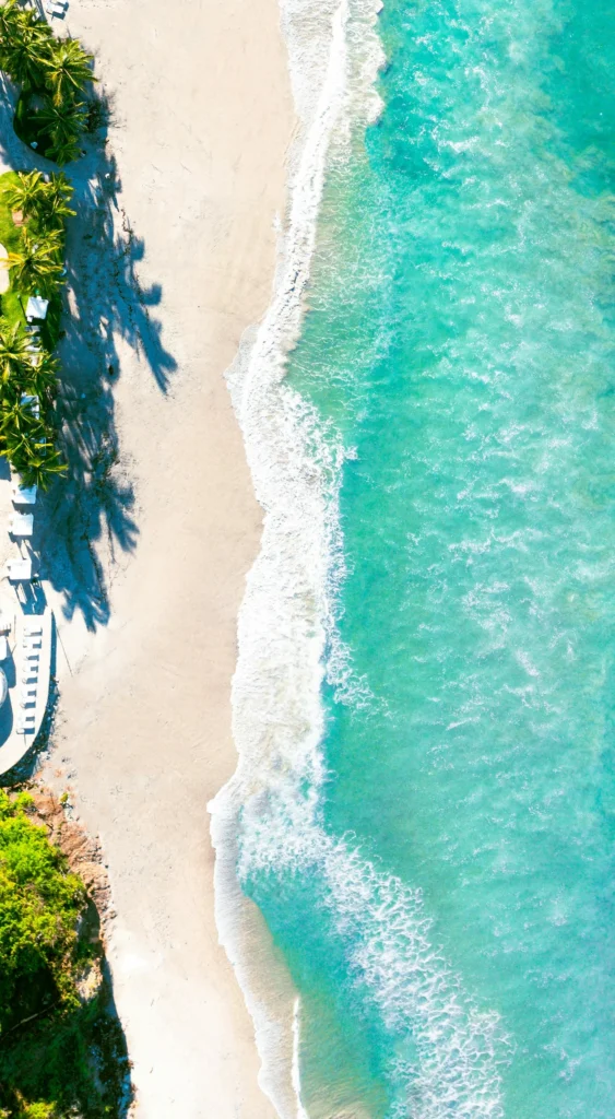 Top-down aerial view of turquoise waves crashing on white sand beach lined with palm trees in Samana