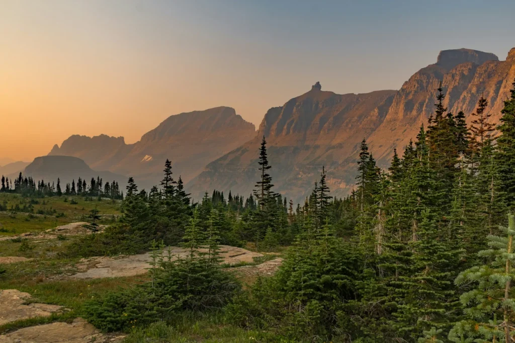 Logan Pass glowing at sunset over subalpine forests in Glacier National Park, Montana