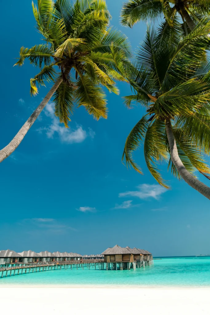 Overwater bungalows stretching into clear turquoise water framed by tall coconut palm trees