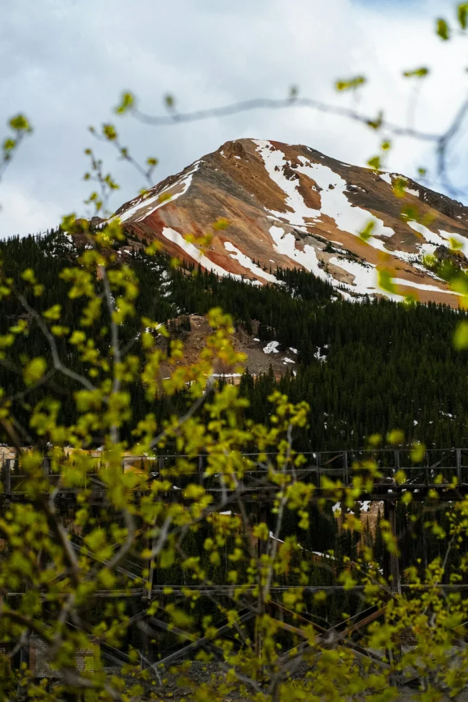 Snow-patched peak of Red Mountain in Ouray County visible behind green pine trees and a wooden trestle structure