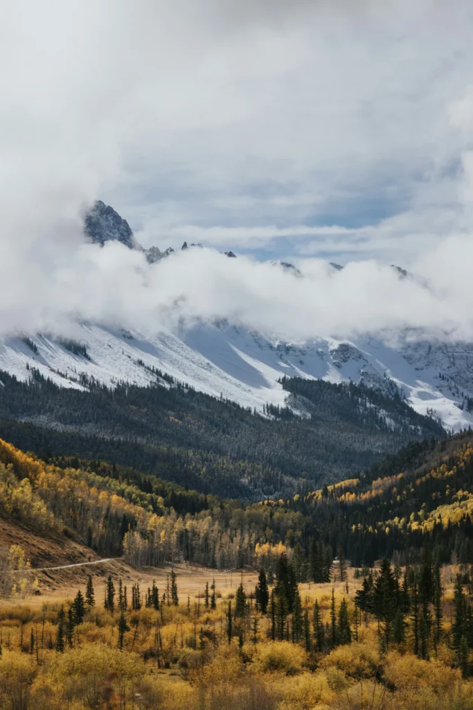Snowy peaks of the Sneffels Range rising above autumn pine forests and low clouds near Ophir Pass