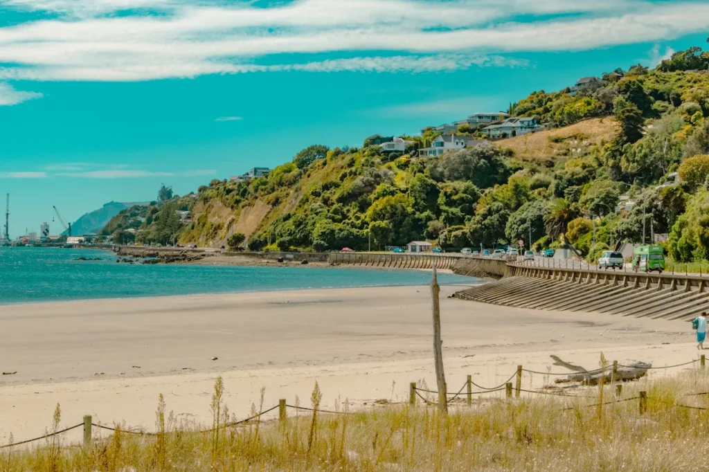 Sandy beach alongside a curved coastal road and green hills dotted with houses