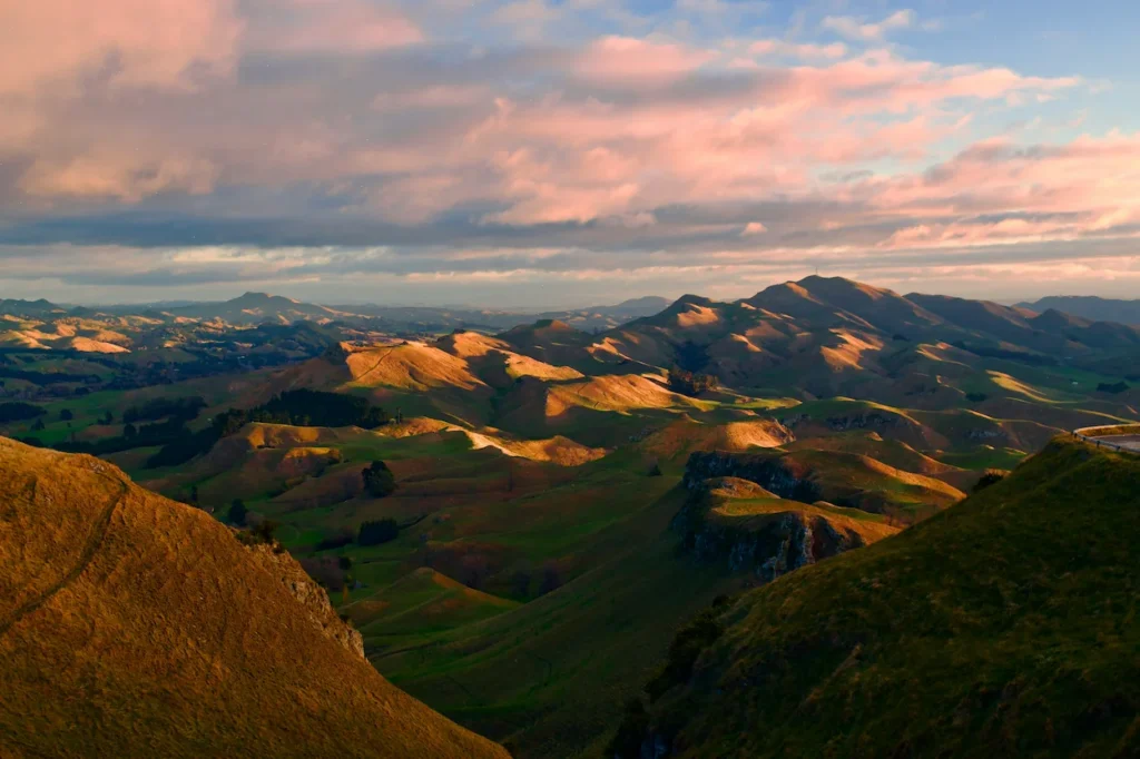 Rolling green hills of Hawke's Bay caught in golden sunset light from Te Mata Peak