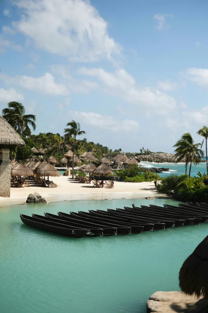 Black canoes floating on turquoise water next to a palm tree lined beach