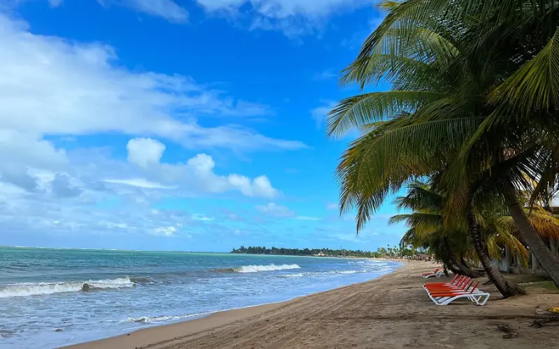 Palm-lined sandy shore at Isla Verde Beach.