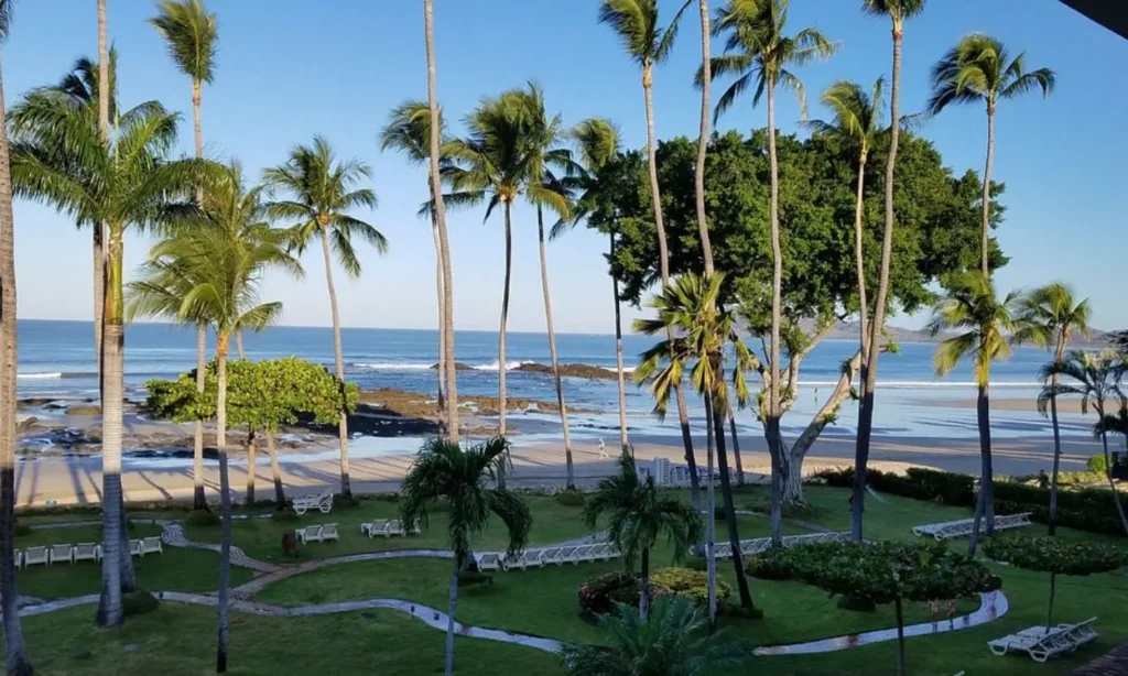 Ocean view framed by palm trees and green gardens at Tamarindo Diria Golf Resort.