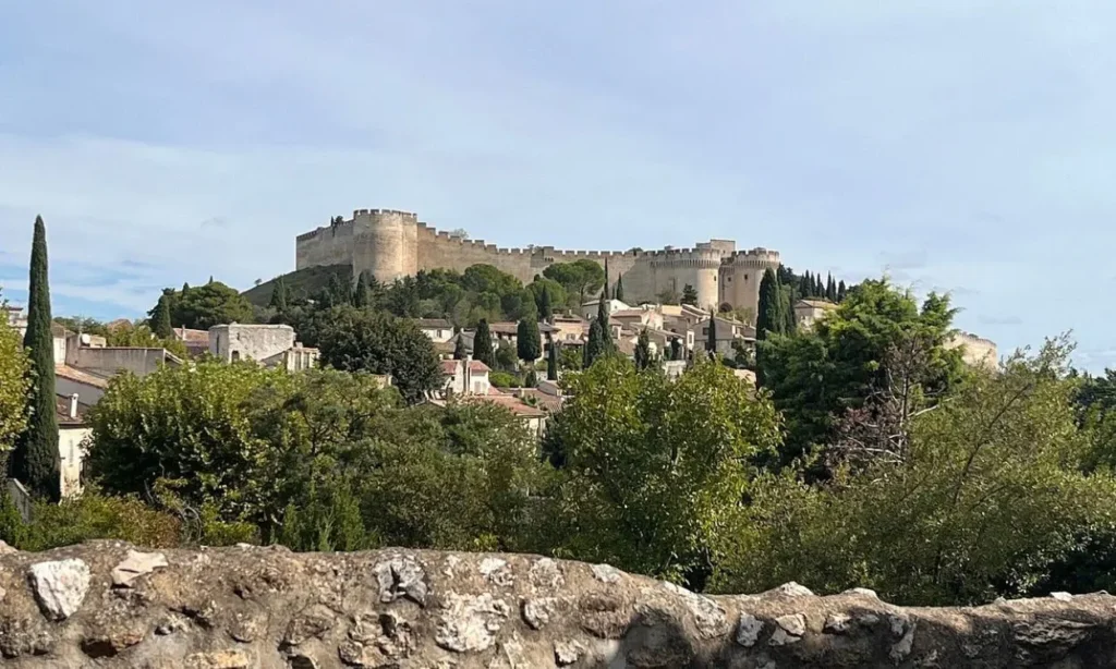 Fort Saint-André overlooking a village with trees and stone houses.