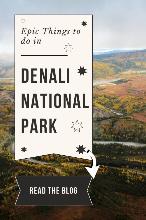 DENALI NATIONAL PARK AND PRESERVE THINGS TO DO visual data 7