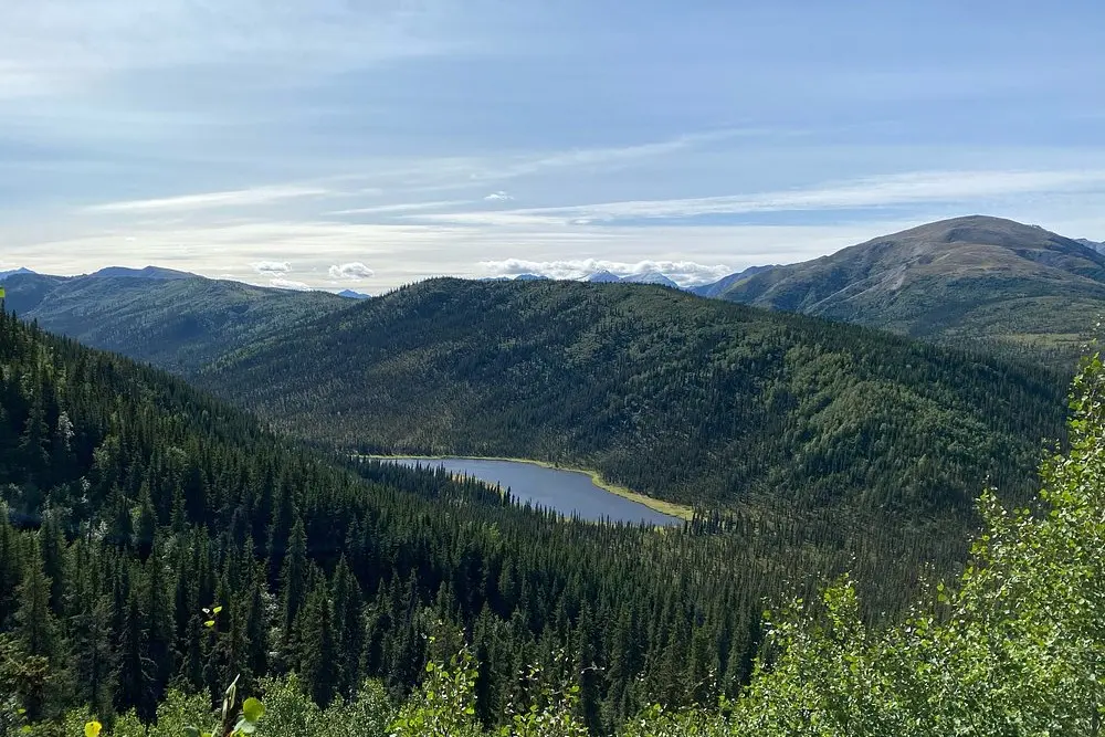 A view of forested mountains and a lake along the Triple Lakes Trail in Denali.