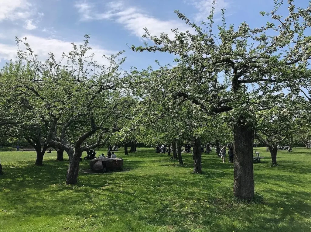 Rosendals Tradgardskafe