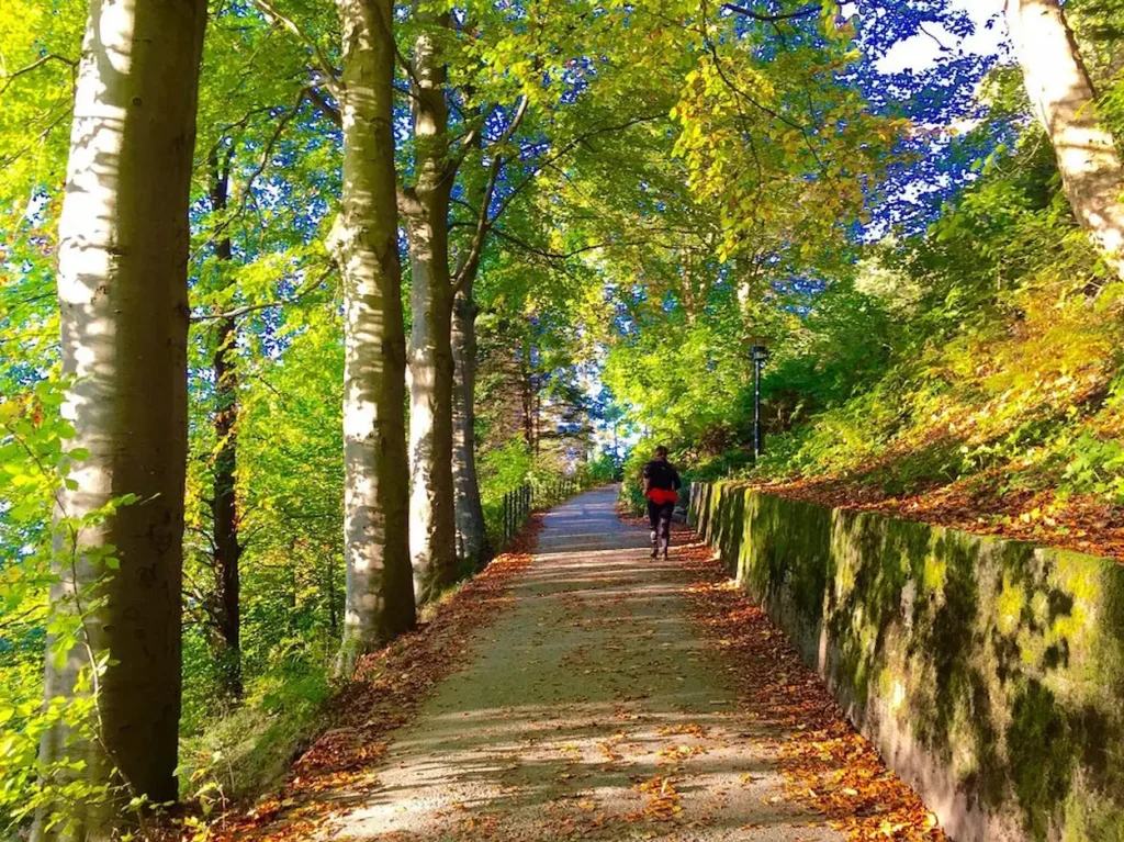 Mount Floyen and the Funicular