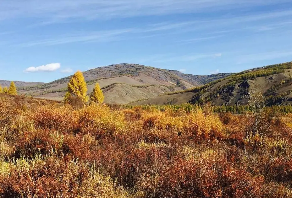 Bogd Khan Uul National Park