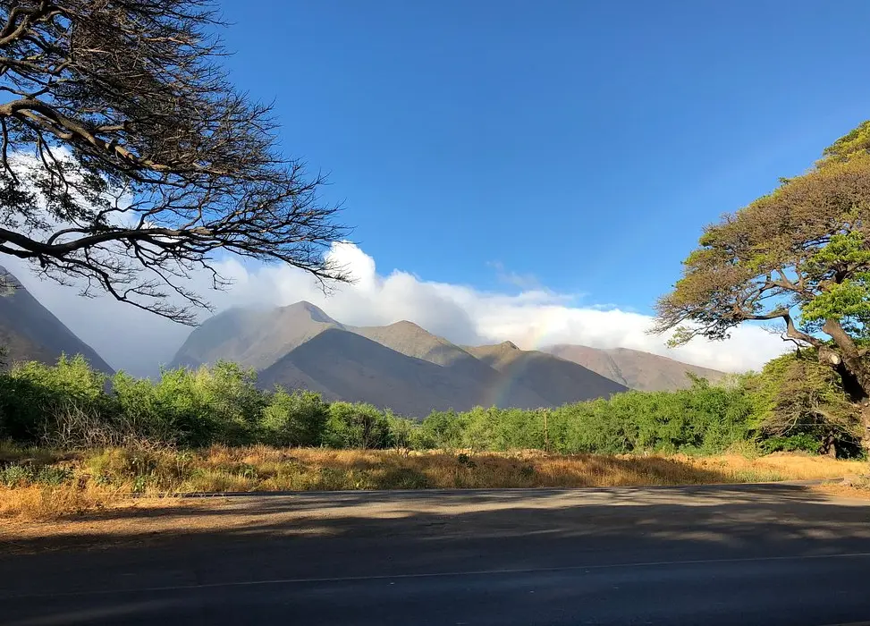 View of Olowalu Petroglyphs