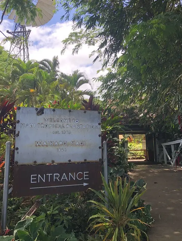 Maui Tropical Plantation